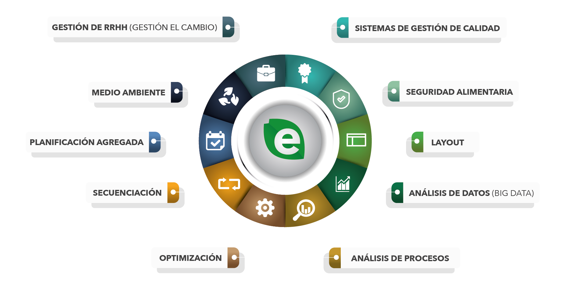 Proyectos transversals